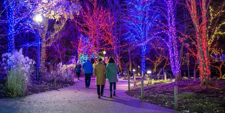 Lincoln Park ZooLights 2026: Dates, Tickets, Hours and Tips